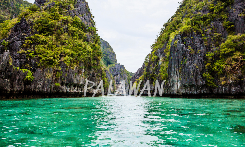 Palawan – Thiên Đường Nhiệt Đới Đẹp Nhất Philippines